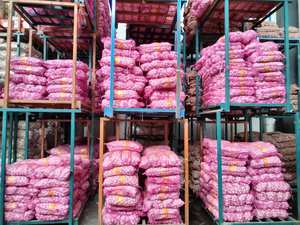 Poudre <span class=keywords><strong>d</strong></span>'<span class=keywords><strong>ail</strong></span> frais <span class=keywords><strong>Ail</strong></span> Ajo Alho Chine Fournisseurs <span class=keywords><strong>d</strong></span>'<span class=keywords><strong>ail</strong></span> <span class=keywords><strong>Afrique</strong></span> <span class=keywords><strong>du</strong></span> <span class=keywords><strong>Sud</strong></span> <span class=keywords><strong>Ail</strong></span> Légumes - Product Image 5