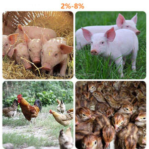 Harina de pescado peruano Harina de pescado seca chilena Harina de pescado argentina en polvo l-lisina sulfato para alimentación de aves - Product Image 5