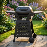 Barbecue à gaz portable 2 brûleurs pour le camping en plein air, idéal pour les voyages, avec tables latérales amovibles, fabricant OEM ODM