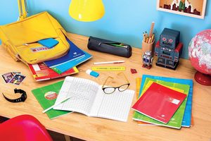 Notebook con pinzatura 63796C per disabilità visive 17X22 cm 96 grandi quadrati neri 2.5mm ingranditi 10/10 carta bianca da 90 g - Product Image 5