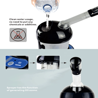 Nébuliseur Électrique Portable, Vaporisateur Facial et Capillaire, Appareil de Soin Personnel et de Beauté, Brumeur Facial Nano, Machine à Airbrush
