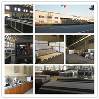 Revêtement de terrasse en WPC de concept européen, résistant à l'eau, au feu, antidérapant, durable, texturé en relief 3D