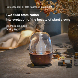 เครื่องกระจายกลิ่นน้ำมันหอมระเหยแบบใหม่ ดีไซน์สองระบบฉีดพ่น ไม่ใช้น้ำ  ทำจากแก้ว สำหรับใช้ในบ้าน - Product Image 3