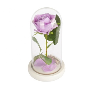 Cadeau de Saint Valentin Morthers Day Gift Galaxy Rose dans un dôme <span class=keywords><strong>en</strong></span> verre avec lumières led Vente <span class=keywords><strong>en</strong></span> gros Préservé Rose dans un dôme <span class=keywords><strong>en</strong></span> verre - Product Image 3