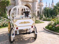 Chariot de princesse citrouille blanc Cendrillon pour mariage et visites touristiques – Modèles les plus vendus personnalisables.
