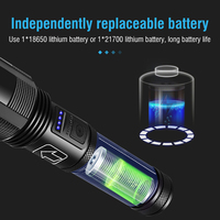Lampe torche LED en aluminium 1000 lumens à lumière blanche, rechargeable USB-C, avec zoom et affichage de la puissance – Vente chaude