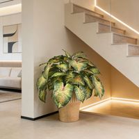 Plantes en pot d'Alocasia artificielle de qualité supérieure, design personnalisé Nifloral, aspect varié, décoration pour la maison, le bureau, l'hôtel, Alocasia en plastique coloré, bonsaï