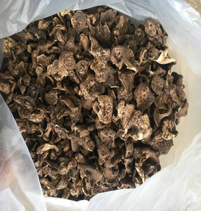 1 kg de champignons noirs sauvages séchés naturels, précieux, d'origine Yunnan, entiers - Product Image 2