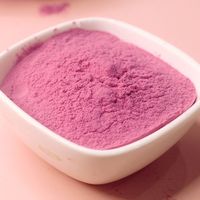 2024 nouveau produit arrivée de qualité alimentaire lyophilisé vitamine C acérola cerise extrait VC poudre 25%