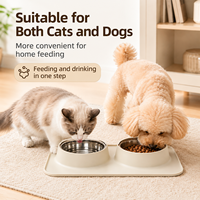 Bol pour animaux de compagnie rectangulaire en silicone écologique imperméable avec bord lisse pour chiots et chiens adultes