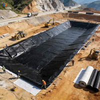 Geomembrana Impermeable Más Vendida en 2025, Lámina de HDPE Resistente a Ácidos para Almacenamiento de Residuos en Minería Industrial