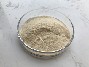 Yesin — soin en acide Enzyme naturel, fourniture au meilleur prix - Product Image 5