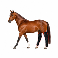 SUNGLOR SGHSBB Soins équin avec 236 LED infrarouges pour la thérapie par la lumière rouge, bandages pour l'équitation, pour l'approvisionnement des marques équestres mondiales