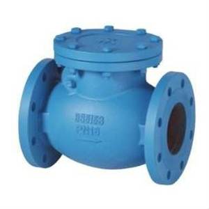 DN50-DN350 PN16 Duktiles Gusseisen Flansch-Rückschlagventil <span class=keywords><strong>4</strong></span> Zoll Schwing-Rückschlagventil für Wasser - Product Image 6