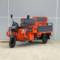 Tricycle électrique cargo à double usage 1000W, siège arrière pliable de 500kg pour le transport agricole ou la mobilité locale