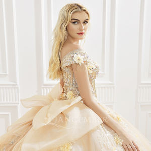 Robe de bal de Quinceañera Princesse Champagne, style princesse, avec décolleté cœur, appliques en dentelle, broderies, sequins, couleur bonbon et traîne chapelle, élégante - Product Image 4