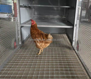 Büyük uzatma tavuk rulo kraliyet <span class=keywords><strong>Run</strong></span> Deluxe ile tavuk sarayı - Product Image 6