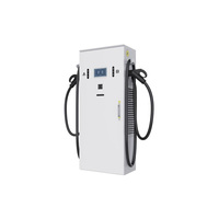 高安全性 120kW 直流快速充电站 IP54 双枪式 1000V EVSE 充电设备，具有多层网络安全加密功能，支持 OCPP