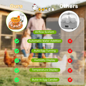Mini incubadora doméstica, diseño de escritorio compacto con observación iluminada, temperatura constante automática - Product Image 6
