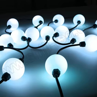 SHIJI Vente Flash : Boule LED 3D à Pixels, Lumière de Noël, DC24V, Lumière LED Pointeuse Extérieure, Lumière à Pixels RGB