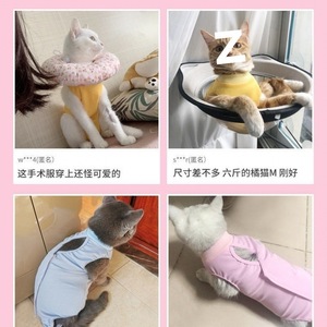 Cat Surgical Gown Vest Fleece Breathable Post Op Anti Lick Suit <b>For</b> Cats Small Medium Size - Product Image 1