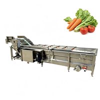 Hogedrukreiniging RVS 304 belletjeswasmachine voor het reinigen van fruit en groenten
