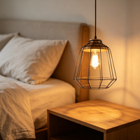 Petite lampe suspendue vintage, abat-jour en fer de style industriel en forme de cage à oiseaux, lampe créative pour comptoir de bar, pub et restaurant BBQ