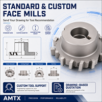 Fraise à face en carbure à dents escalonpées, à pointe brasée, taille personnalisée pour l'usinage CNC des métaux