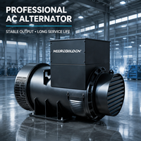 Alternateur AC sans balais industriel 320 kW 400 kVA avec AVR type Stamford pour groupe électrogène diesel