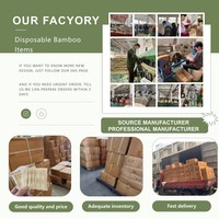 Vente en gros 95mm Mini cuillère en bambou écologique Cuillère à crème glacée jetable naturelle en bambou