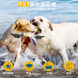 Dispositivo de entrenamiento para perros T10, control remoto, collar eléctrico recargable, supresor de ladridos para perros - Product Image 5