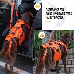 Arnés de elevación para perros grandes, material Oxford de lujo, soporte de cadera, elevador de cuerpo completo con asas, <span class=keywords><strong>Invictus</strong></span> duradero - Product Image 4