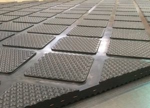 Equipo de Ganadería Lechera, Instalación de Suelo de Goma para Ganado, Alfombra de Goma para el Cuidado de las Pezuñas del Ganado - Product Image 6