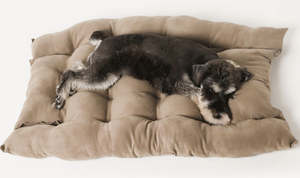 Benutzer definierte hochwertige PP Baumwolle Hundehütte mehrfarbig faltbar wasch bar multifunktion ales Haustier bett für Winter Solid Pattern Fashion - Product Image 5