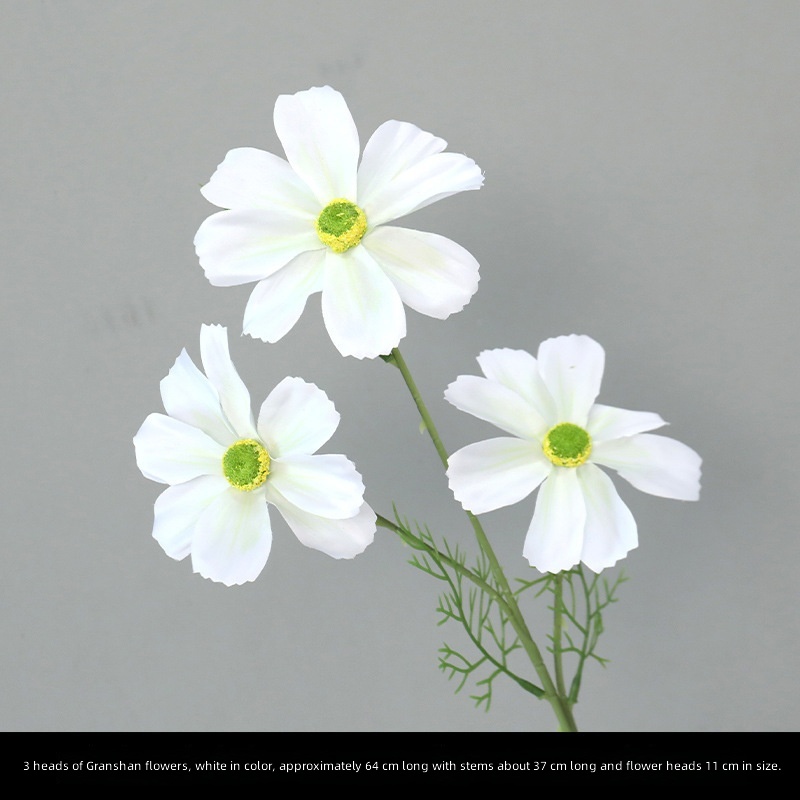 Fleur de Gesang