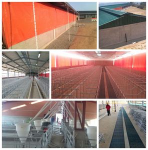 Thiết Kế Trang Trại Lợn/Dự Án Trang Trại Lợn/Thiết Bị Trang Trại Lợn - Product Image 2