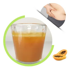 OEM Service Factory Price Bulk Flavored Papaya Concentrate Juice 33/66 Brix Sterilized for Milk Tea or Fruit Juice