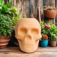 Vente chaude Pot de fleurs en terre cuite en forme de tête pour cactus Plante succulente Jardinière Design moderne Écologique pour l'art du jardin