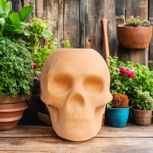 Vaso per Fiori in Terracotta a Forma di <span class=keywords><strong>Testa</strong></span>, per Piante Grasse e Cactus, Design Moderno ed Ecologico per Arte da Giardino - Product Image 3