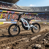 Nouvelle Arrivée 2026 Surron LBX 10KW Moto Tout-Terrain Électrique en Stock Gonped Ebike