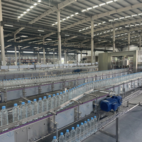 Equipo de Línea de Producción para Plantas de Bebidas con Certificación CE Sunswell