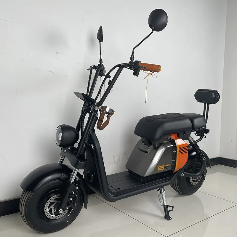 2024 Bestseller citycoco 2 Rad Elektro roller 1000w Motorräder eec coc Roller Mini Elektro roller