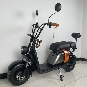 2024 superventas citycoco 2 ruedas bicicleta eléctrica scooter 1000W motocicletas EEC COC scooters mini Scooter Eléctrico