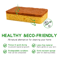 Éponge en fibre de coco biodégradable, écologique, à forte absorption d'eau, pour le lavage de la vaisselle et le nettoyage ménager