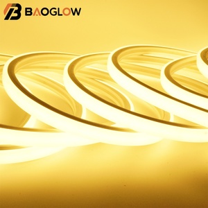 IP 67 Waterproof <b>SMD</b> 2835 240 <b>LED</b> Flex Strip 8MM 10X10 220V 50m/roll Tape Light Flexible Outdoor Lighting Room Atmosphere Decor - Product Image 6