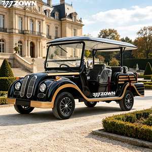 Autobús Turístico Clásico Vintage de la Marca ZOWN, Eléctrico de Nueva Energía, 6 Asientos, 2 Años de Garantía, Color y Tamaño Personalizables, para Recepción de Hotel - Product Image 1