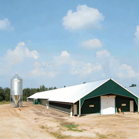 Poulailler économique en structure métallique, hangar préfabriqué pour bétail, élevage avicole à grande échelle