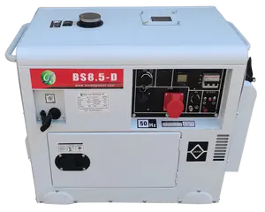 8kw 8kva Ac Dc Stille Eenfase Dual Brandstof Magnetische Generator Set Vrije Energie Dynamo Aardgas Lpg Benzine Generator Set