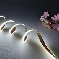 Bande LED COB Flexible RVB CCT Blanc Intensité Variable Sans Points DC24V 12V