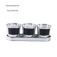 Lot de 3 pots de fleurs modernes en fer galvanisé, étiquettes noires en tableau noir, plateau de plantation argenté, écologiques, pour intérieur, extérieur, jardin, balcon